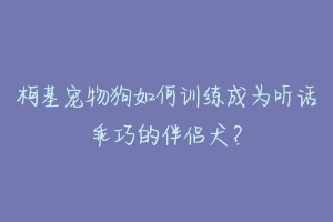 柯基宠物狗如何训练成为听话乖巧的伴侣犬？