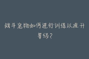 战斗宠物如何进行训练以提升等级？