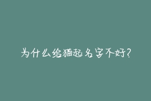 为什么给猫起名字不好？