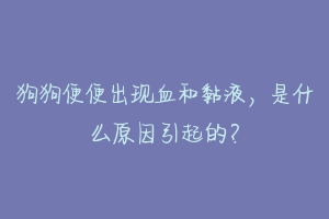 狗狗便便出现血和黏液，是什么原因引起的？