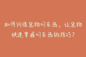 如何训练宠物叼东西，让宠物快速掌握叼东西的技巧？