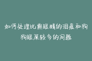 如何处理比熊眼睛的泪痕和狗狗眼屎较多的问题