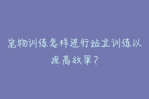 宠物训练怎样进行站立训练以提高效果？