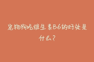 宠物狗吃维生素B6的好处是什么？