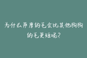 为什么萨摩的毛会比其他狗狗的毛更短呢？