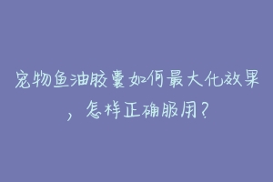 宠物鱼油胶囊如何最大化效果，怎样正确服用？