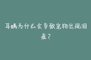 耳螨为什么会导致宠物出现泪痕？