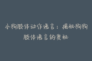 小狗肢体动作语言：揭秘狗狗肢体语言的奥秘