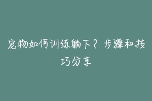 宠物如何训练躺下？步骤和技巧分享