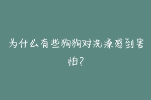 为什么有些狗狗对洗澡感到害怕？