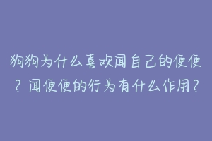 狗狗为什么喜欢闻自己的便便？闻便便的行为有什么作用？