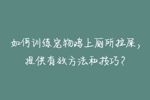 如何训练宠物鸡上厕所拉屎，提供有效方法和技巧？