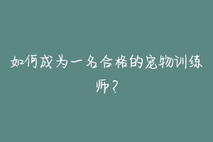 如何成为一名合格的宠物训练师？