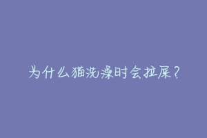 为什么猫洗澡时会拉屎？