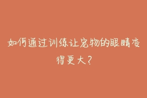 如何通过训练让宠物的眼睛变得更大？