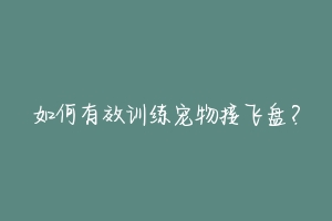 如何有效训练宠物接飞盘？