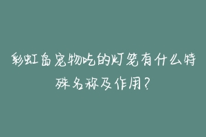 彩虹岛宠物吃的灯笼有什么特殊名称及作用？