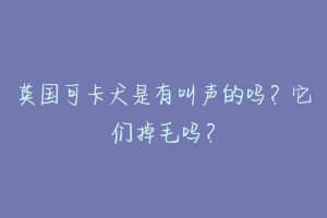 英国可卡犬是有叫声的吗？它们掉毛吗？