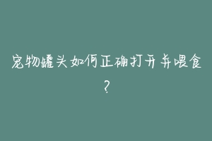 宠物罐头如何正确打开并喂食？