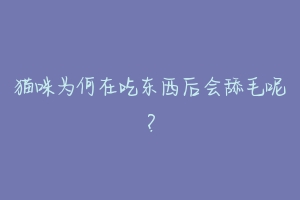 猫咪为何在吃东西后会舔毛呢？