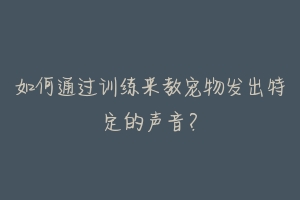 如何通过训练来教宠物发出特定的声音？