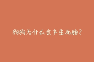 狗狗为什么会产生死胎？