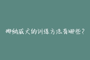 挪纳威犬的训练方法有哪些？