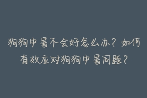 狗狗中暑不会好怎么办？如何有效应对狗狗中暑问题？