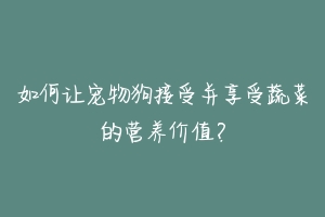 如何让宠物狗接受并享受蔬菜的营养价值？