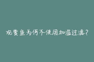 观赏鱼为何不使用加温过滤？