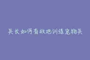 兵长如何有效地训练宠物兵