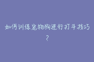 如何训练宠物狗进行打斗技巧？