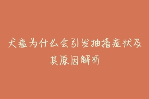 犬瘟为什么会引发抽搐症状及其原因解析