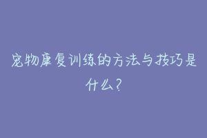 宠物康复训练的方法与技巧是什么？