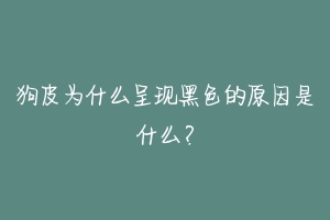 狗皮为什么呈现黑色的原因是什么？