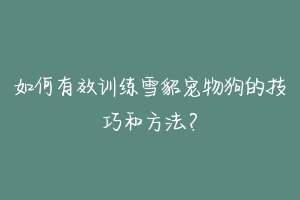 如何有效训练雪貂宠物狗的技巧和方法？