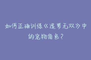 如何正确训练《造梦无双》中的宠物角色？