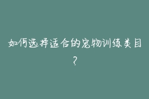 如何选择适合的宠物训练类目？