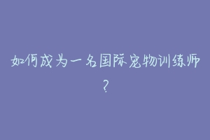 如何成为一名国际宠物训练师？