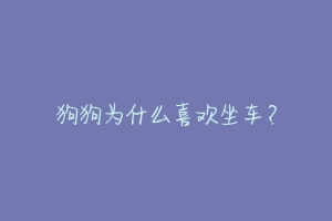 狗狗为什么喜欢坐车？