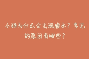 小猫为什么会出现腹水？常见的原因有哪些？