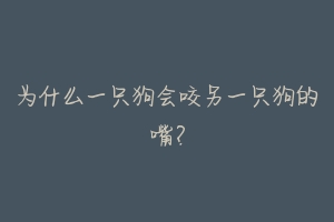 为什么一只狗会咬另一只狗的嘴？