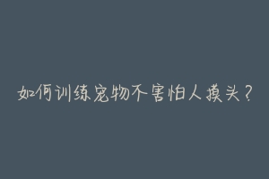 如何训练宠物不害怕人摸头？