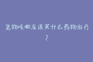 宠物咳嗽应该买什么药物治疗？