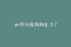 如何训练狗狗定力？