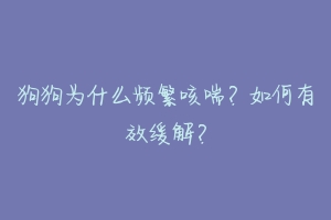 狗狗为什么频繁咳喘？如何有效缓解？