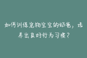 如何训练宠物宝宝的奶爸，培养出良好行为习惯？