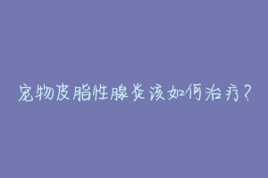 宠物皮脂性腺炎该如何治疗？