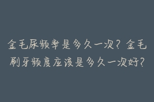 金毛尿频率是多久一次？金毛刷牙频度应该是多久一次好？