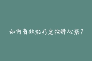 如何有效治疗宠物肺心病？